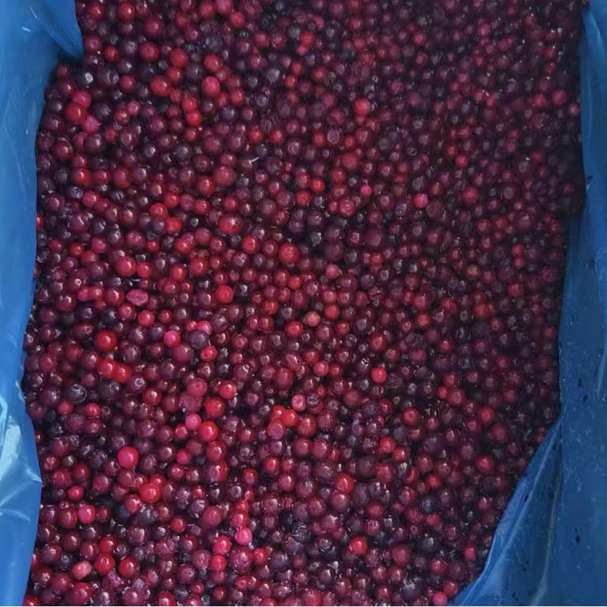IQF LINGONBERRIES